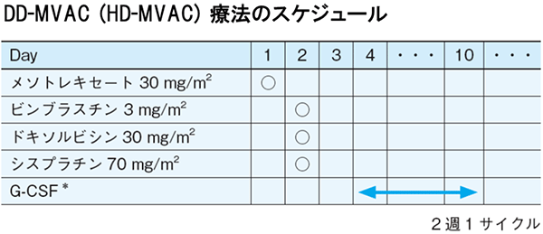 DD-MVACiHD-MVACjÖ@̃XPW[